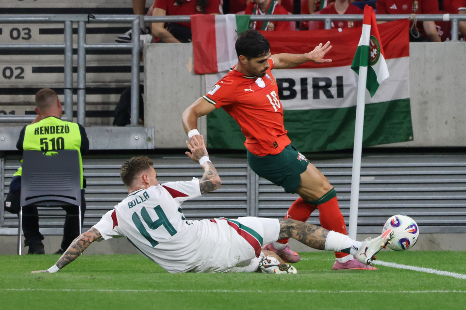 dgAdp, 奥蒂洛摄 dgAdp, 奥蒂洛摄