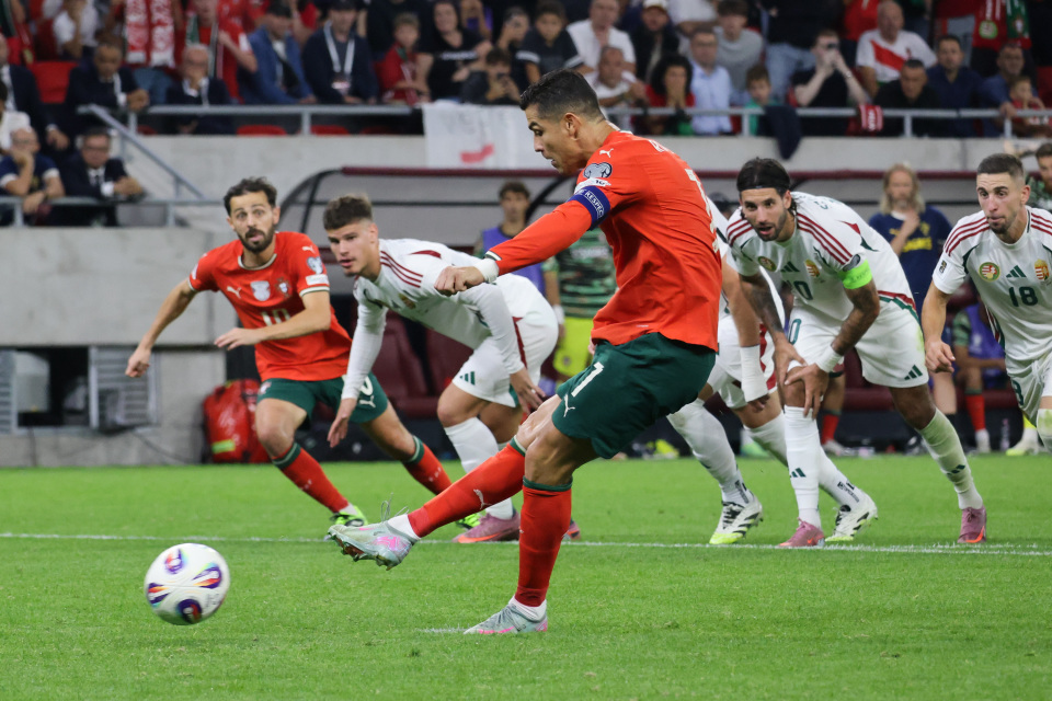 src, SsGNO, xTg src, SsGNO, xTg