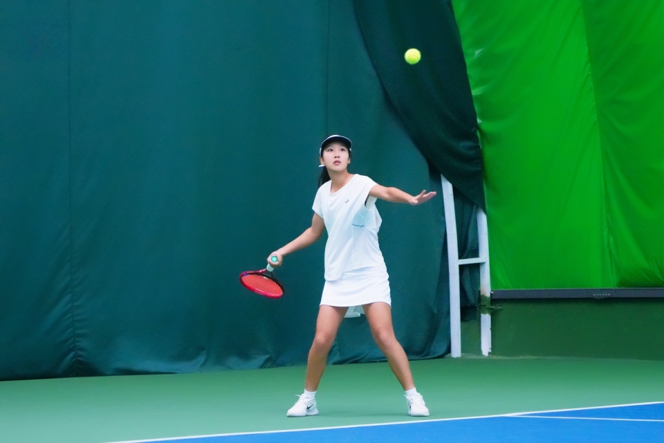 个项目, 馆中心业余, 来自全省各