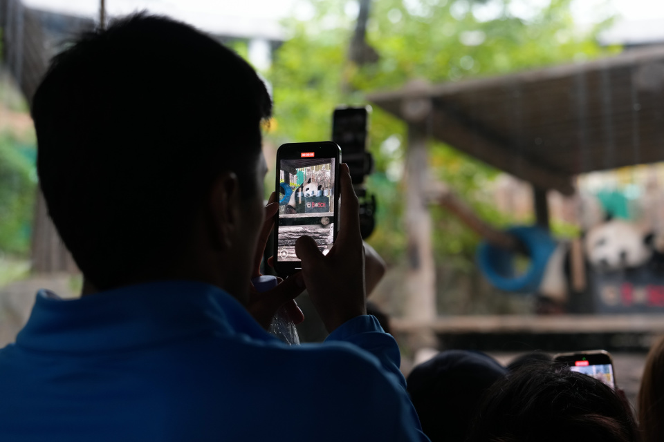 gtimg, 物园观看裸 gtimg, 物园观看裸